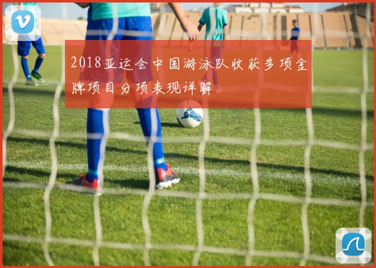 2018亚运会中国游泳队收获多项金牌项目分项表现详解