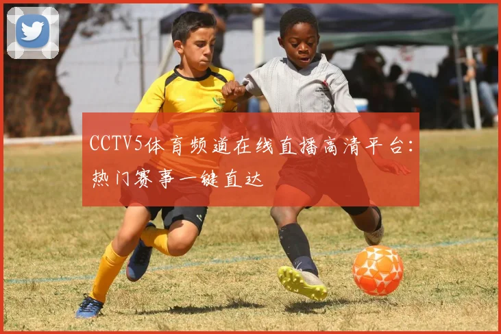 CCTV5体育频道在线直播高清平台：热门赛事一键直达